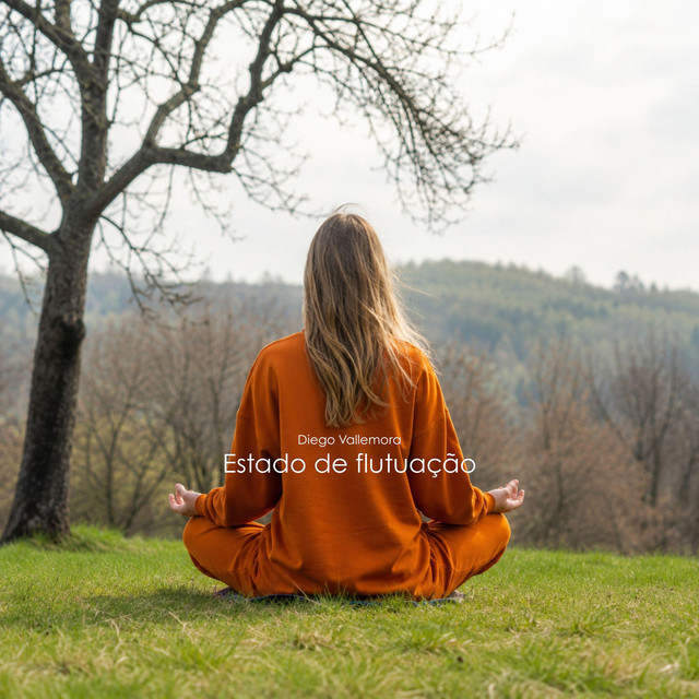 Estado de Flutuação