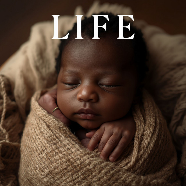 Life cover art