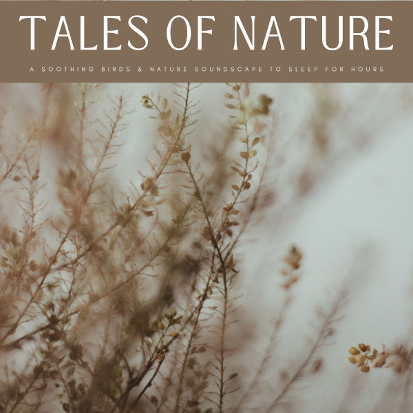 Tales Of Nature: A Soothing Birds & Nature Soundscape To Sleep For Hours cover art