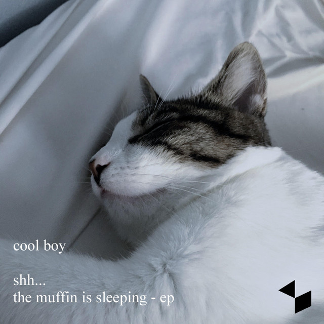 sleeping muffin