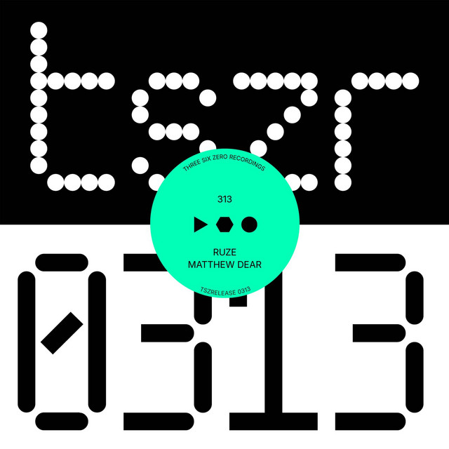 313
