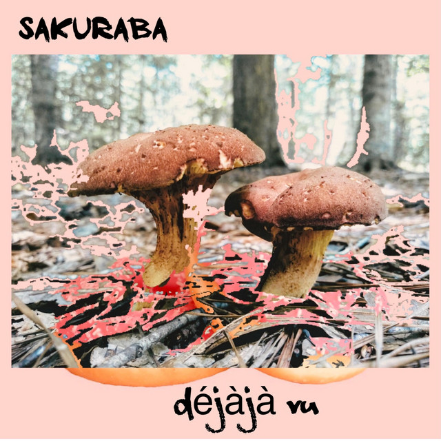 Dejaja Vu