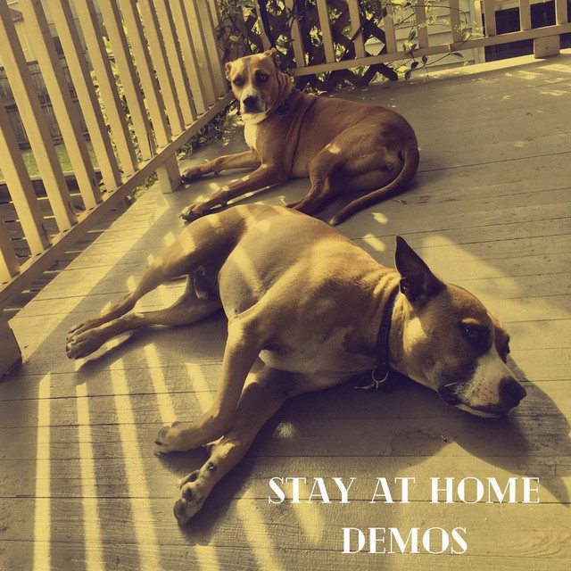 Stay at Home Demos cover art