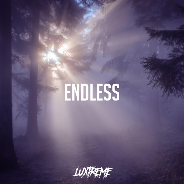 Endless cover art