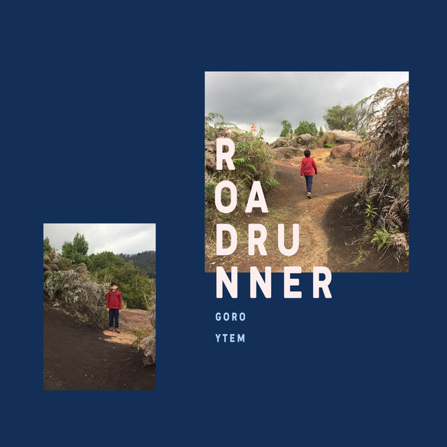 ROADRUNNER cover art