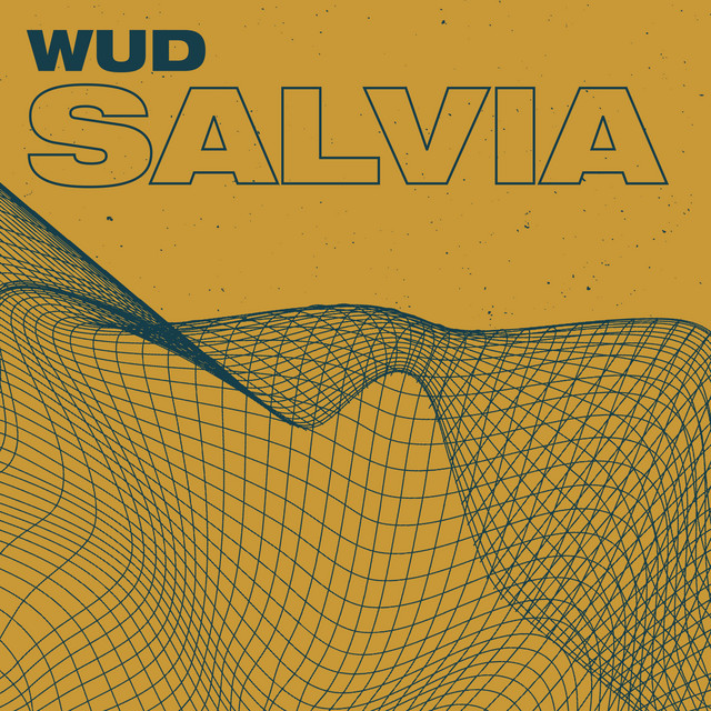 Salvia