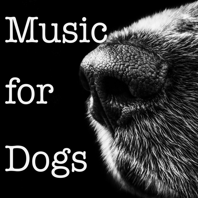 Music for Dogs