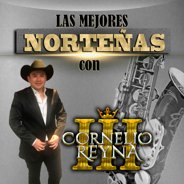 Las Mejores Norteñas cover art