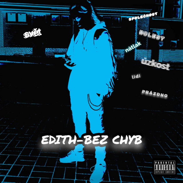 Bez chyb cover art