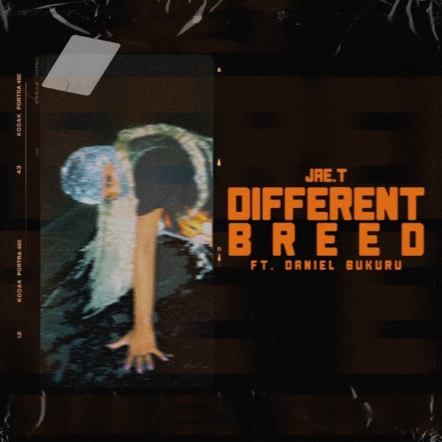 Different Breed cover art