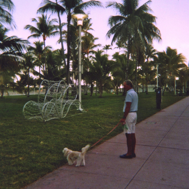 Miami Disco cover