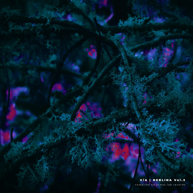 Neblina, Vol.3 cover art