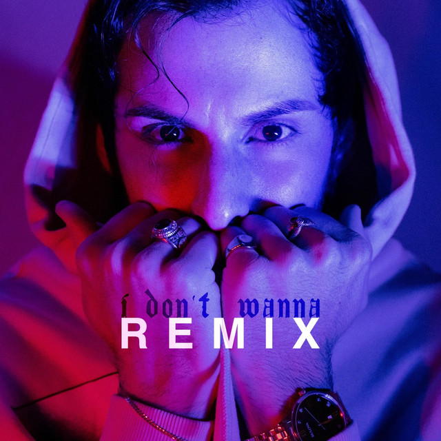 I Don't Wanna - Remix