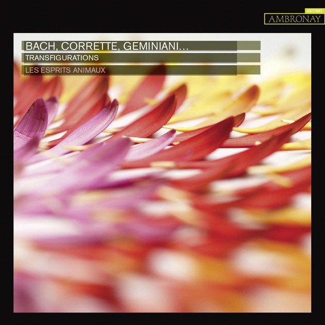 Bach, Corrette & Geminiani: Transfigurations cover art