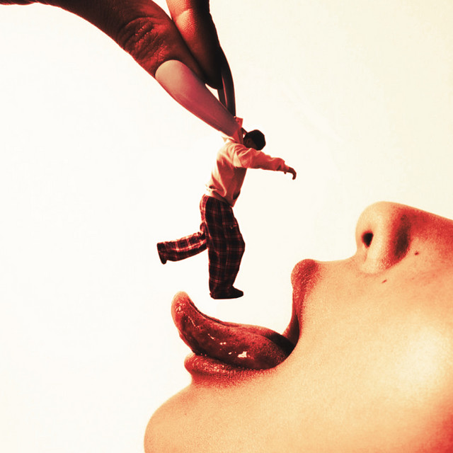 FINA cover art