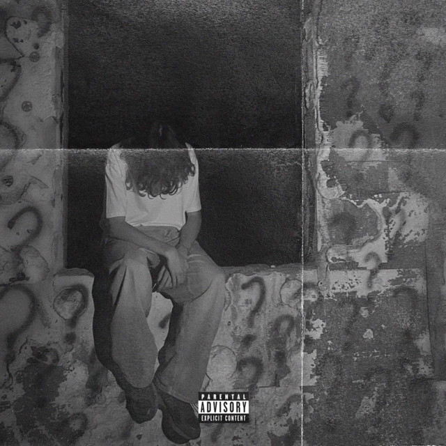 Semnul Intrebării cover art