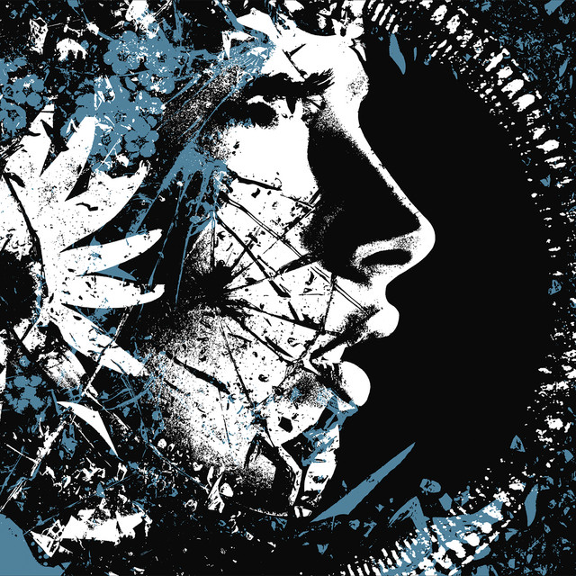 Fractures cover