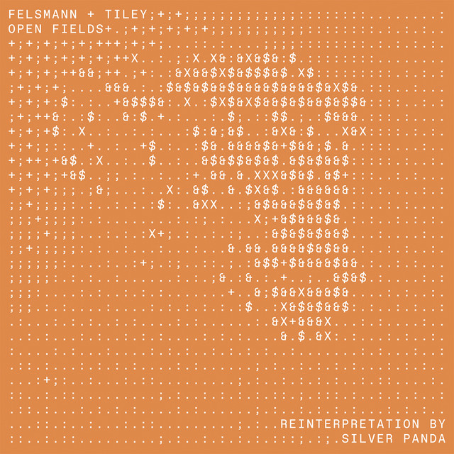 Open Fields (Silver Panda Remix) album image