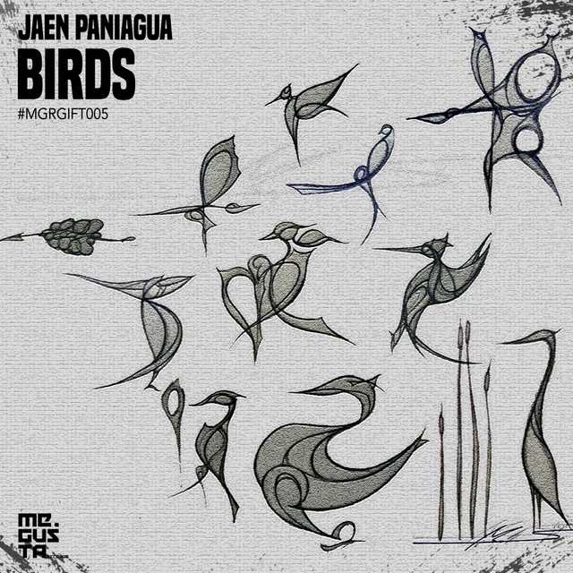Birds album art
