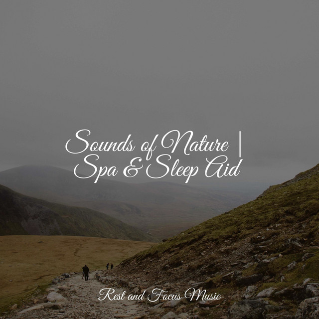 Sounds of Nature | Spa & Sleep Aid - Album by White Noise Relaxation ...