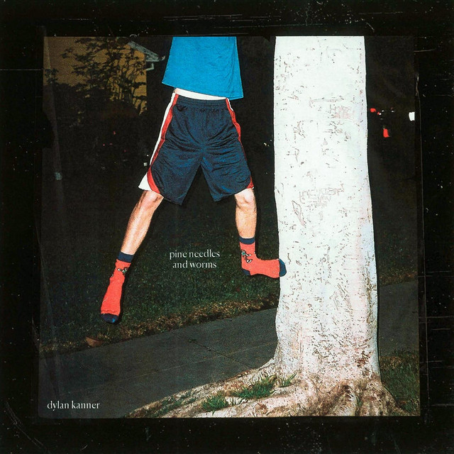 Pine Needles and Worms cover art