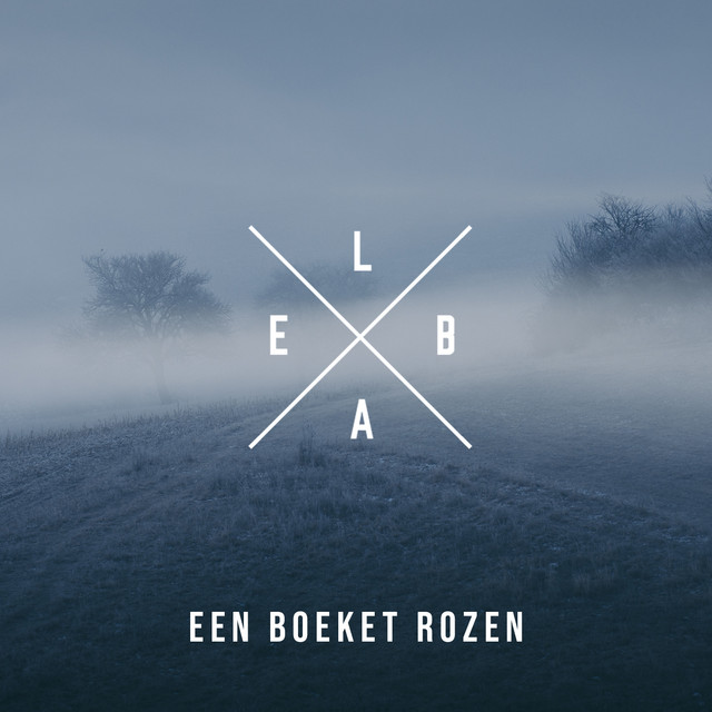 Een boeket rozen cover