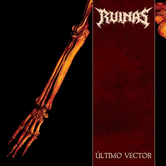 Último Vector cover art