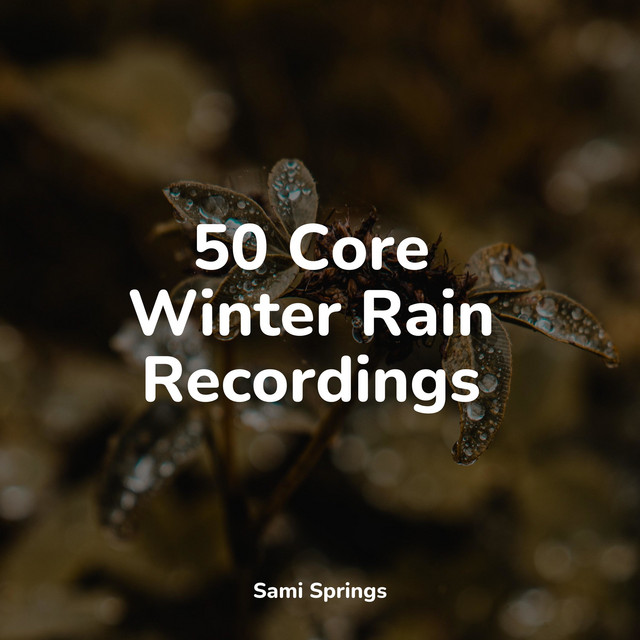 50 Core Winter Rain Recordings - Album by Nature and Rain | Spotify