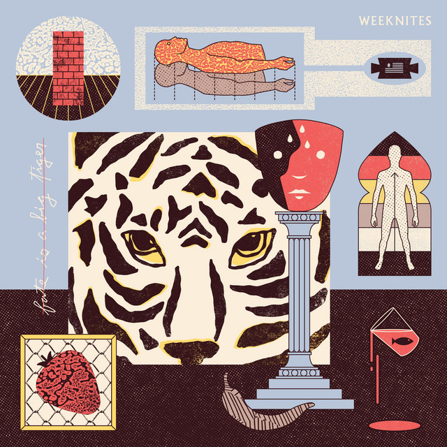 Fate Is A Big Tiger cover art
