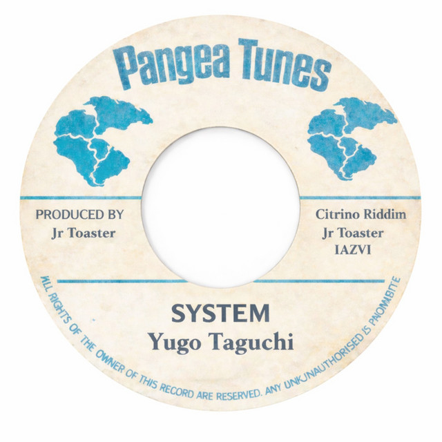 System