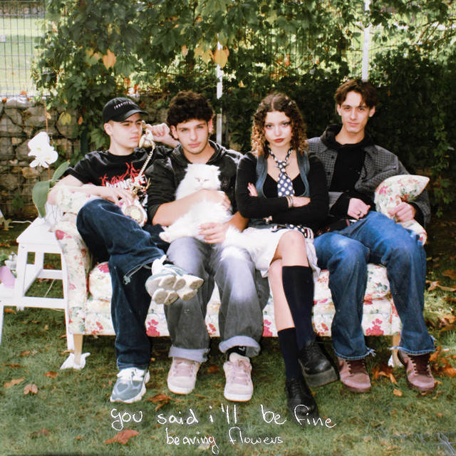 you said i'll be fine cover art