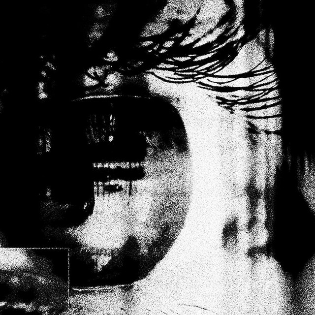 Parallel cover art