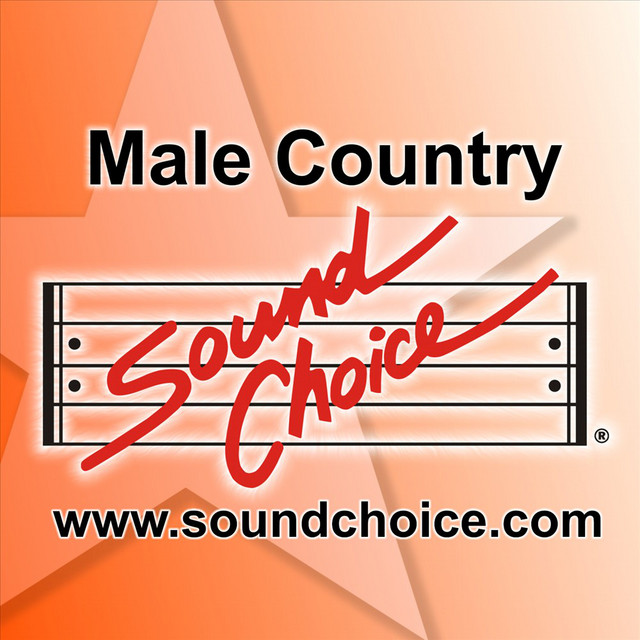 Karaoke: Male 1(中古品) Hits Timeline 2000 of - Country