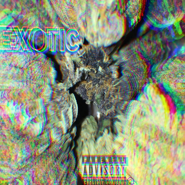 Exotic (Look at Me) cover