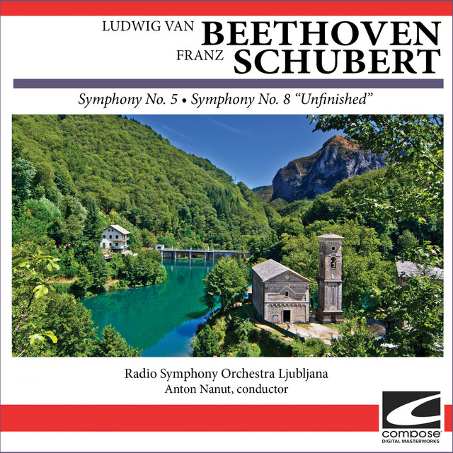 Beethoven - Symphony No. 5 in C minor, Op. 67 - Allegro con brio