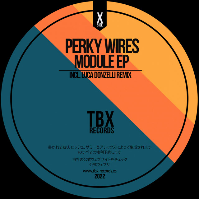 Module - Luca Donzelli Remix album art