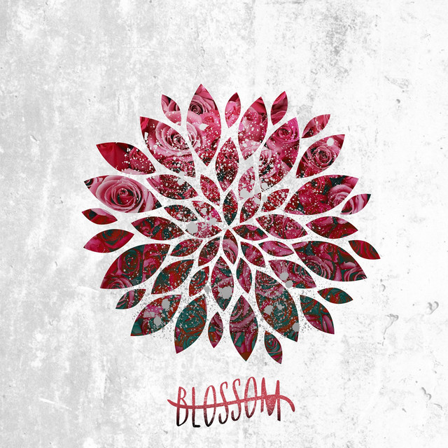 Blossom cover art