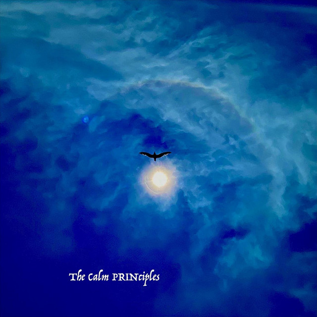 The Calm Principles cover art
