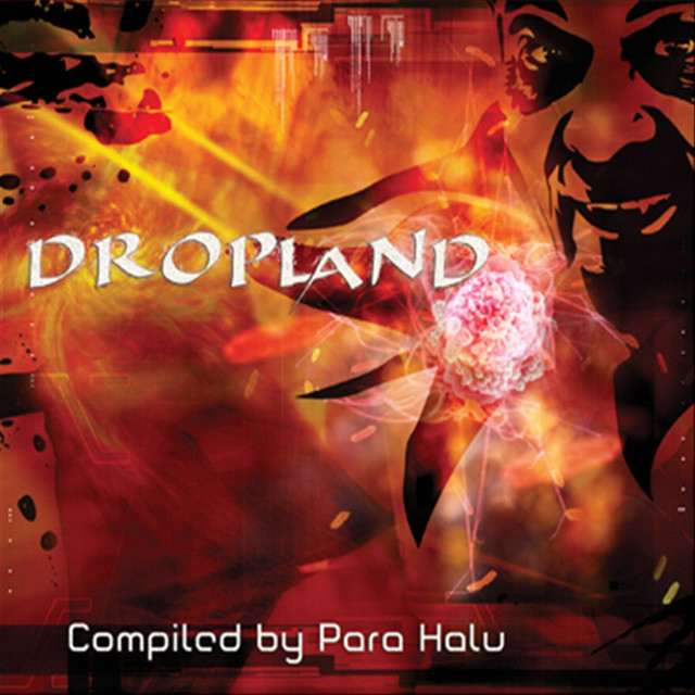 Dropland cover