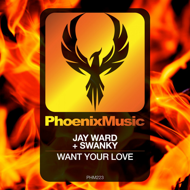 Want Your Love - Extended Mix album art
