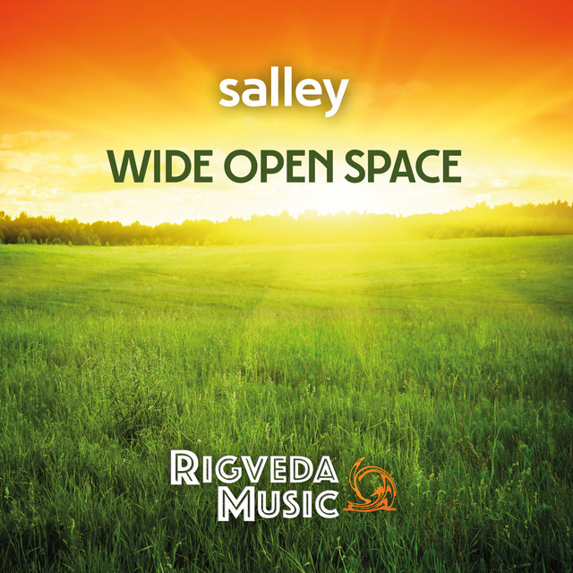 Wide Open Space cover