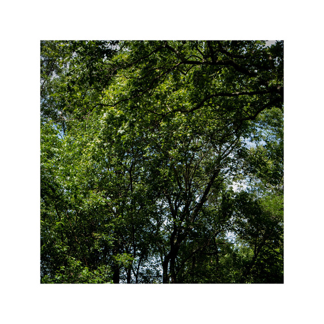 Covers Vol. 1