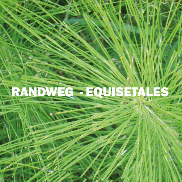 Equisetales cover