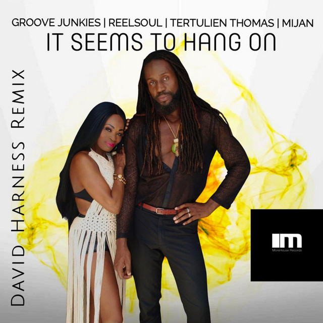 It Seems To Hang On (David Harness Remixes) cover