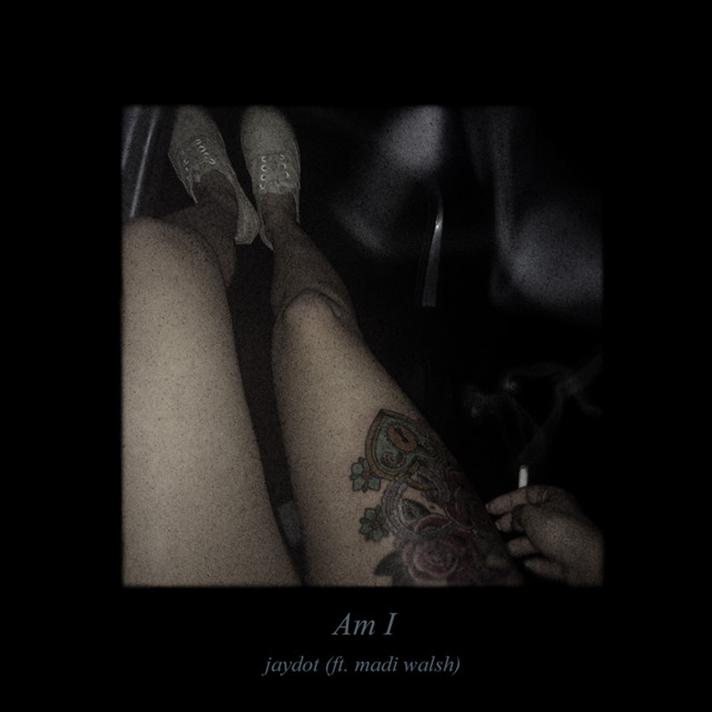Am I cover art