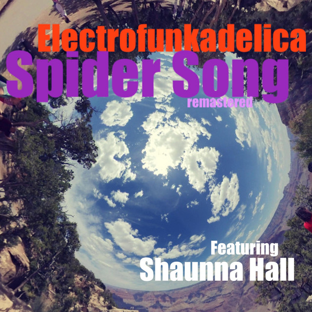 Spider Song (Remastered) cover