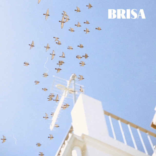 Brisa cover art