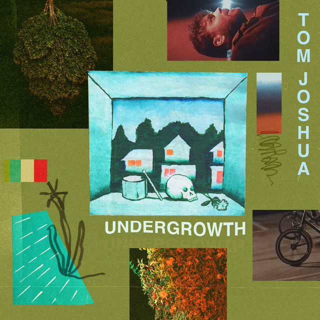 Undergrowth cover
