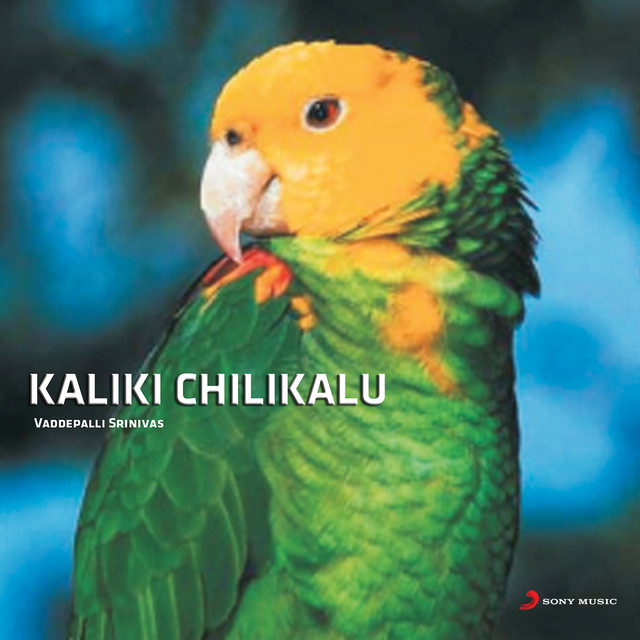 Kaliki Chilukalu cover art
