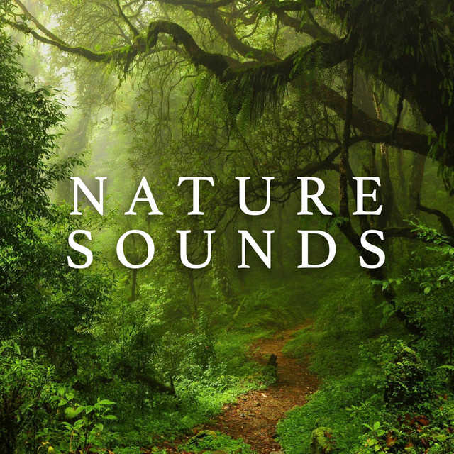 Nature Sounds cover art